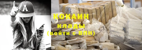 твердый Инсар