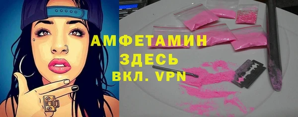твердый Инсар