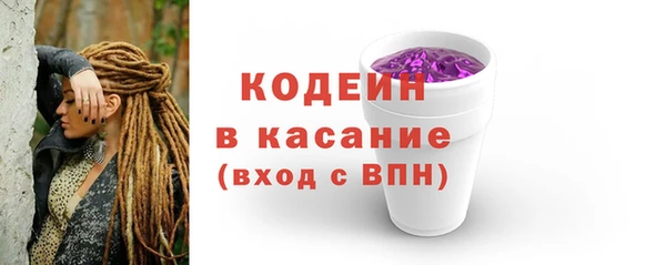 дурь Инта