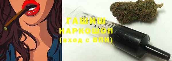 твердый Инсар
