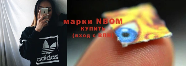 дурь Инта