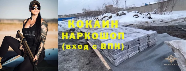 твердый Инсар
