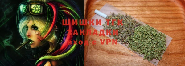 дурь Инта