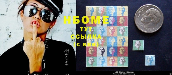 дурь Инта