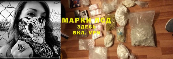 твердый Инсар