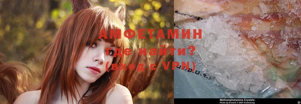 дурь Инта