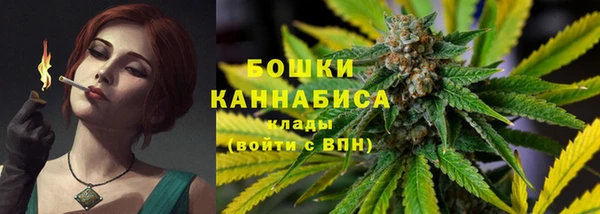 твердый Инсар